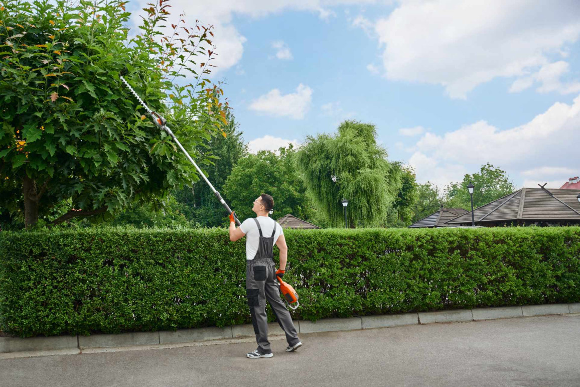 Gardening ( house,office)